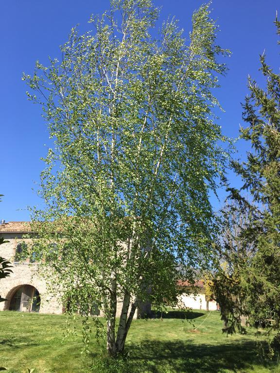 Willa Agriturismo Le Due Arcate San Massimo  Zewnętrze zdjęcie