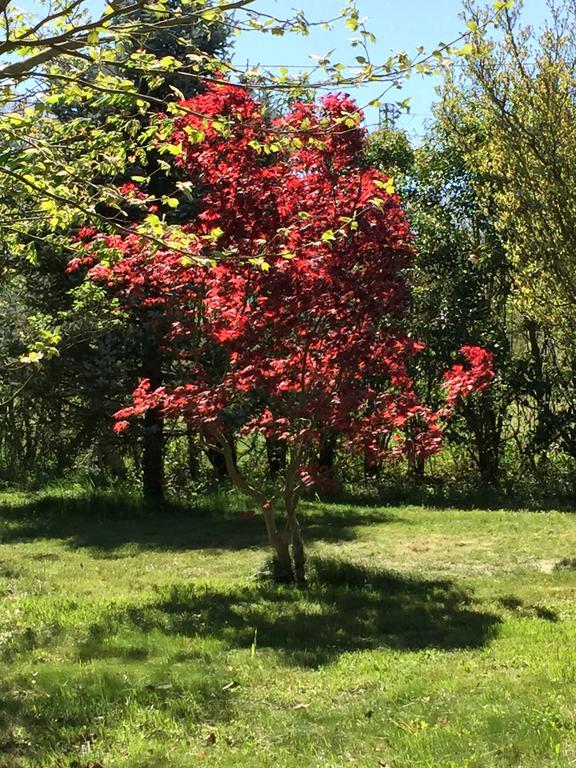 Willa Agriturismo Le Due Arcate San Massimo  Zewnętrze zdjęcie